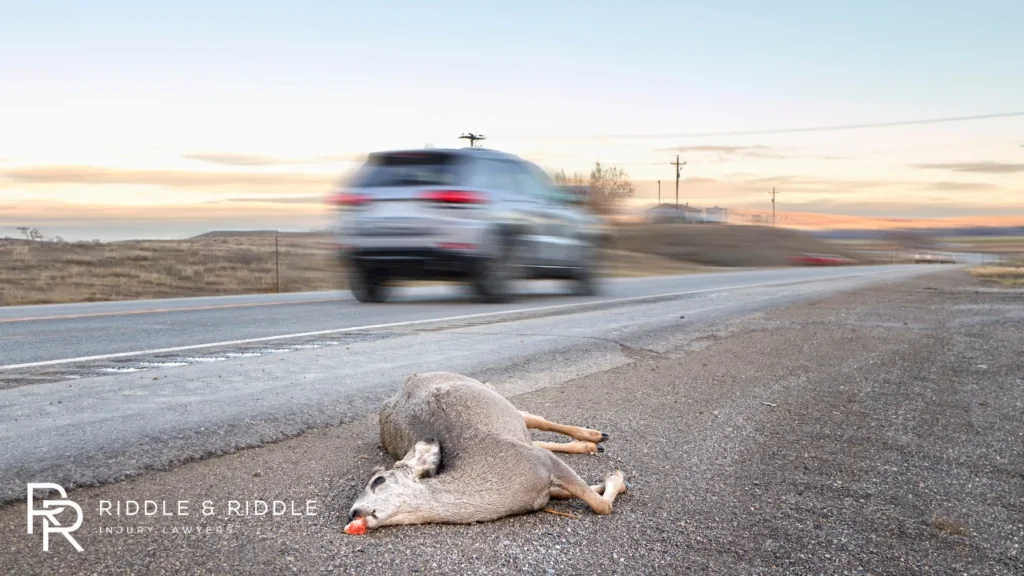 A car speeding on the highway and deer hit and laying beside the road