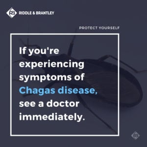 Chagas Disease and Kissing Bugs