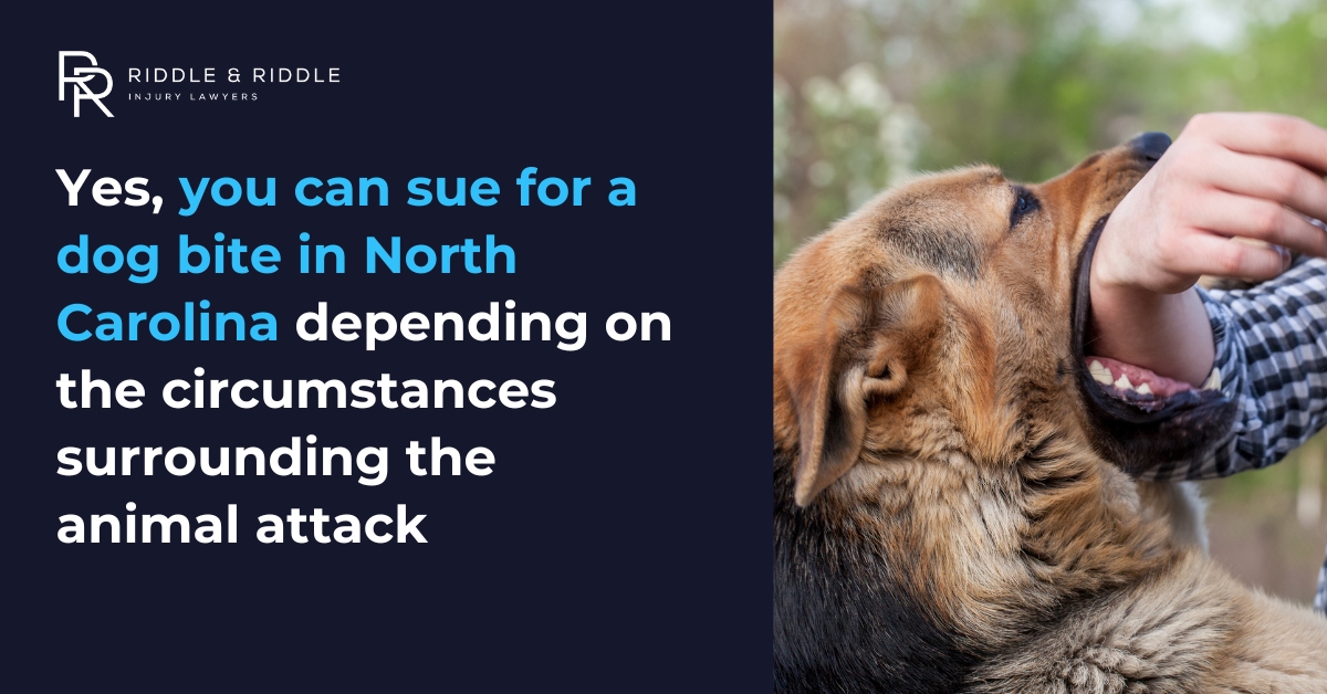 Can I Sue for a Dog Bite in North Carolina?