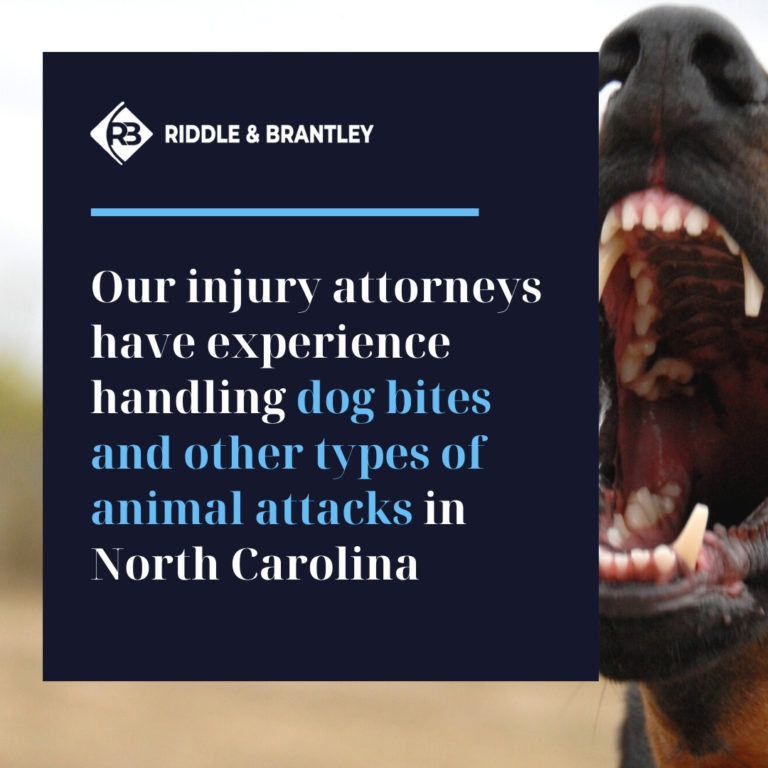 North Carolina Dog Bite Lawyer | Riddle & Brantley - Justice Counts