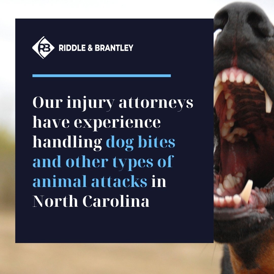 Dog Bite Attorney in North Carolina - Riddle & Brantley