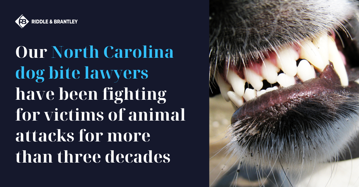 North Carolina Dog Bite Lawyer - Riddle & Brantley