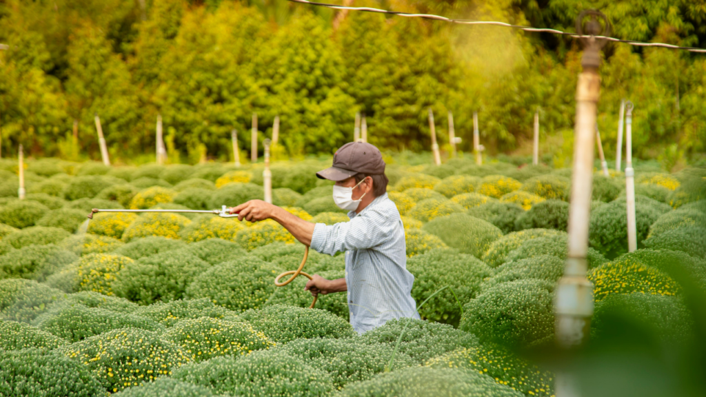 Gardener spraying trees and bushes with pesticides