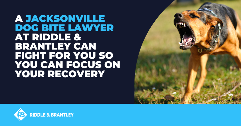 Jacksonville Dog Bite Lawyer in North Carolina - Riddle & Brantley