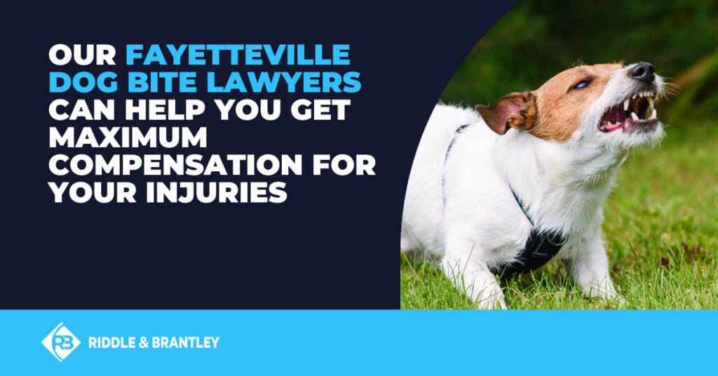 Our Fayetteville dog bite lawyers can help you get maximum compensation for your injuries.