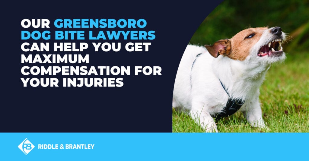 Our Greensboro dog bite lawyers can help you get maximum compensation for your injuries.
