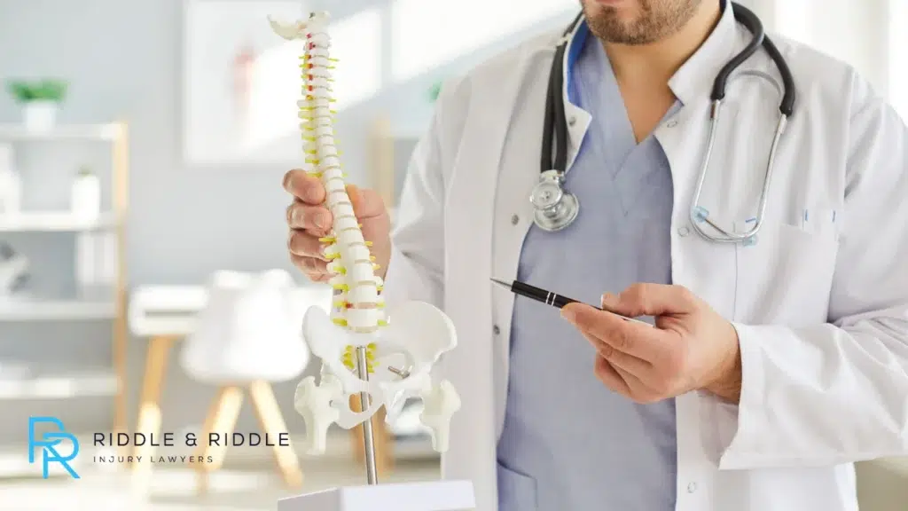 Doctor in a white coat holds and points to a model of a human spinal column