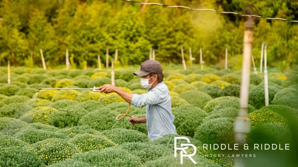 worker spraying chemical water on plants